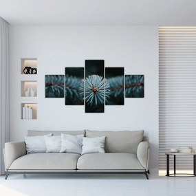 Obraz gałązki drzewa iglastego (125x70 cm)