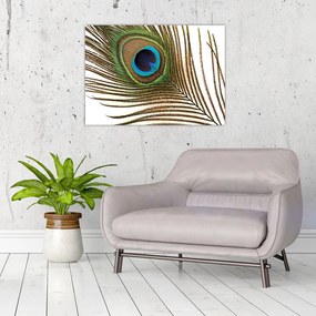 Obraz pawich piór (70x50 cm)