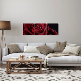 Obraz - Czerwona róża (z zegarem) (90x30 cm)