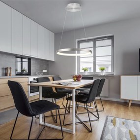 Designerska lampa wisząca aluminiowa z LED z funkcją ściemniania Easylift - HoopDesignerski Oswietlenie wewnetrzne