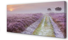 Obraz na płótnie Pole Wrzosów