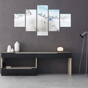 Obraz - Niedźwiedź polarny (125x70 cm)