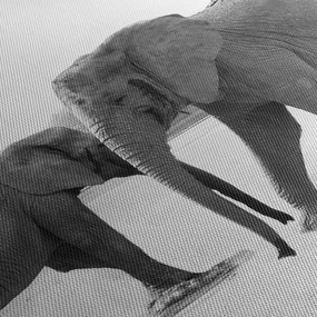 Obraz słoni (170x50 cm)