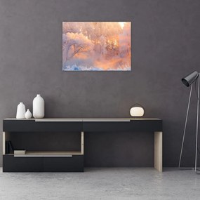 Obraz - Mroźny świt (70x50 cm)