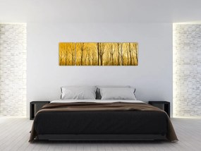 Obraz lasu o zachodzie słońca (170x50 cm)