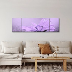 Obraz - Fioletowy kwiat (170x50 cm)