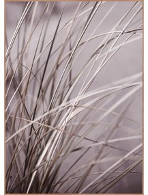 Obraz 50x70 cm Mellow Grasses 1 – Malerifabrikken