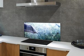 Szklany Panel Deszcz na tle Parasola
