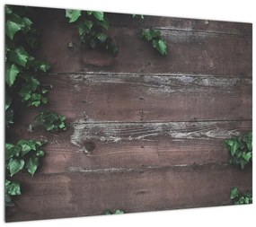 Obraz - Bluszcz (70x50 cm)