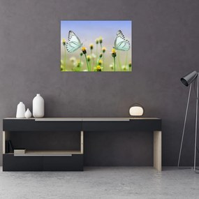 Obraz na szkle motyli na kwiatku (70x50 cm)