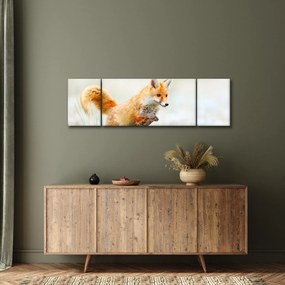 Obraz - Skaczący lis (170x50 cm)