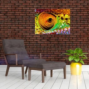 Obraz - Kameleon (70x50 cm)