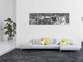 Obraz - Lis w zimie (170x50 cm)