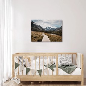 Obraz na szkle - Chodnik w dolinie góry Mt. Cook (70x50 cm)