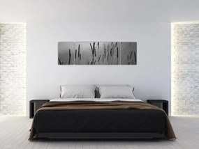 Obraz - źdźbła trawy (170x50 cm)