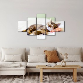 Obraz - Śpiący kotek (125x70 cm)