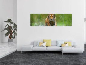 Obraz - Biegnący tygrys (170x50 cm)