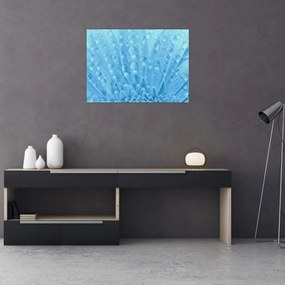 Obraz na szkle - Ujęcie makro kwiatu (70x50 cm)