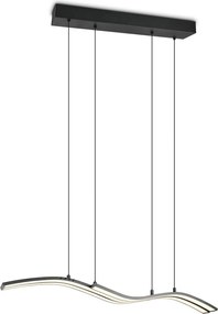 Metalowa lampa wisząca LED ze zdalnym sterowaniem/ze ściemniaczem w kolorze matowej czerni Spider – Trio Select