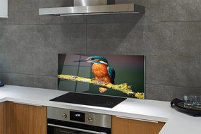 Panel szklany do Kuchni Mały Egzotyczny Ptak