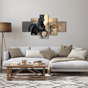 Obraz - Konie (125x70 cm)