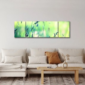 Obraz - Szczegół łąki (170x50 cm)