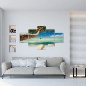 Obraz - Czyste morze z palmą (125x70 cm)