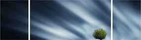 Obraz zorzy polarnej nad wrzosowiskami (170x50 cm)