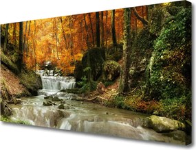 Obraz canvas Ukryty Wodospad w Gęstwinie