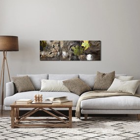 Obraz - Leżący kot (z zegarem) (90x30 cm)