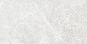 Mexen Lizard Silver gres szkliwiony rekt. G1, płytka podłogowo-ścienna 120 x 60 cm, połysk - TL109-120-060-03