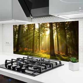 Panel Kuchenny Bór Sosnowy W Słońcu