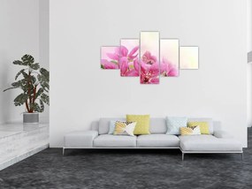 Obraz - Różowe kwiaty (125x70 cm)