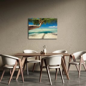 Obraz - Czyste morze z palmą (70x50 cm)