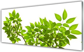 Panel Szklany do Kuchni Botaniczny Detal Roślinny