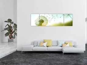 Obraz - Dmuchawiec na wietrze (170x50 cm)