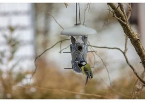 Plastia Karmnik dla ptaków Robin,  antracyt