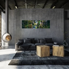 Obraz - Rzeka w skalistej dolinie (170x50 cm)