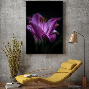 Plakat - Lilly (A4)