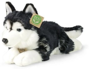 Rappa Pluszowy pies husky, 36 cm ECO-FRIENDLY
