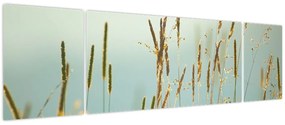 Obraz - Łąkowa chwila (170x50 cm)