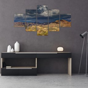 Obraz - kaktusy w przyrodzie (125x70 cm)