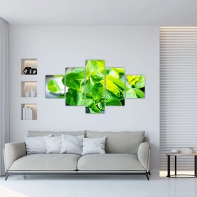 Obraz mięty (125x70 cm)