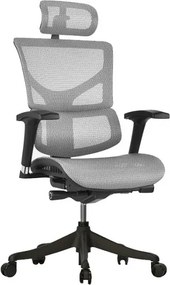 Ergonomiczny fotel biurowy z siateczki ErgoFly Sail, zgodny z normą BHP