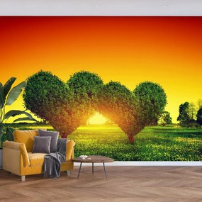 Fototapeta - Zakochane drzewa (196x136 cm)