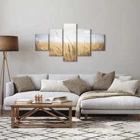 Obraz ziarna (125x70 cm)