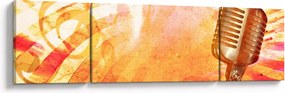 Obraz - Mikrofon retro (170x50 cm)