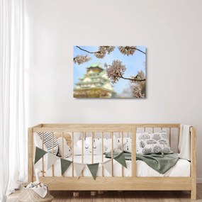 Obraz na szkle - Sakura (70x50 cm)