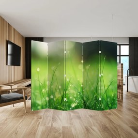 Parawan - Rosa na trawie (210x170 cm)