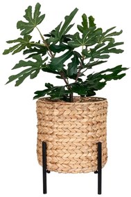 Doniczka z hiacyntu wodnego ø 26,5 cm Antas – House Nordic
